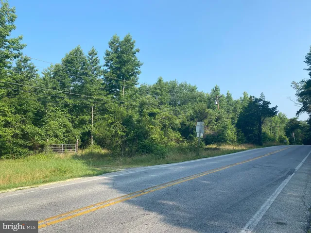 a view of a yard with a large trees