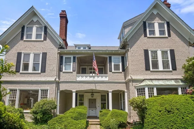 a view of a pathway of a tree