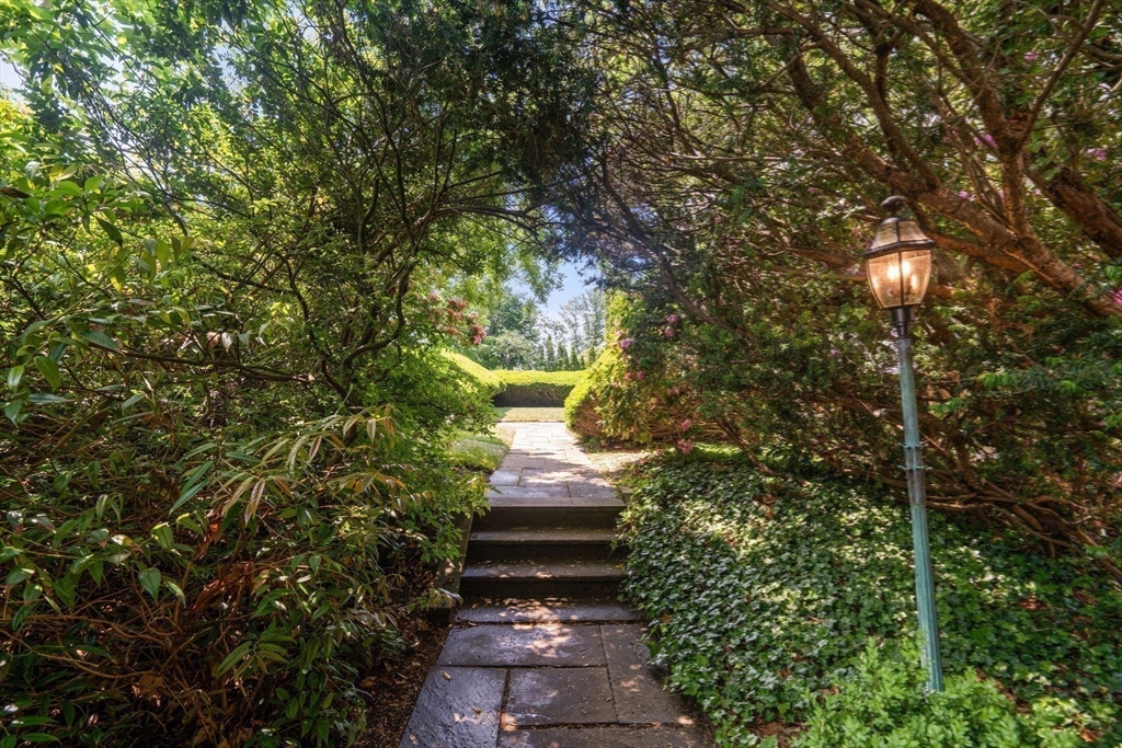 51 Cliff Street Nahant, MA 01908 - Photo 27 of 42 a view of a pathway of a tree