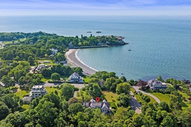 a view of a garden with a flower in a garden
