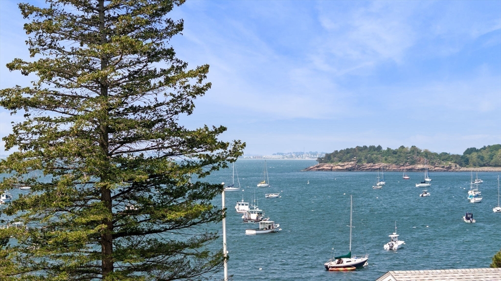 51 Cliff Street Nahant, MA 01908 - Photo 38 of 42 a view of a city