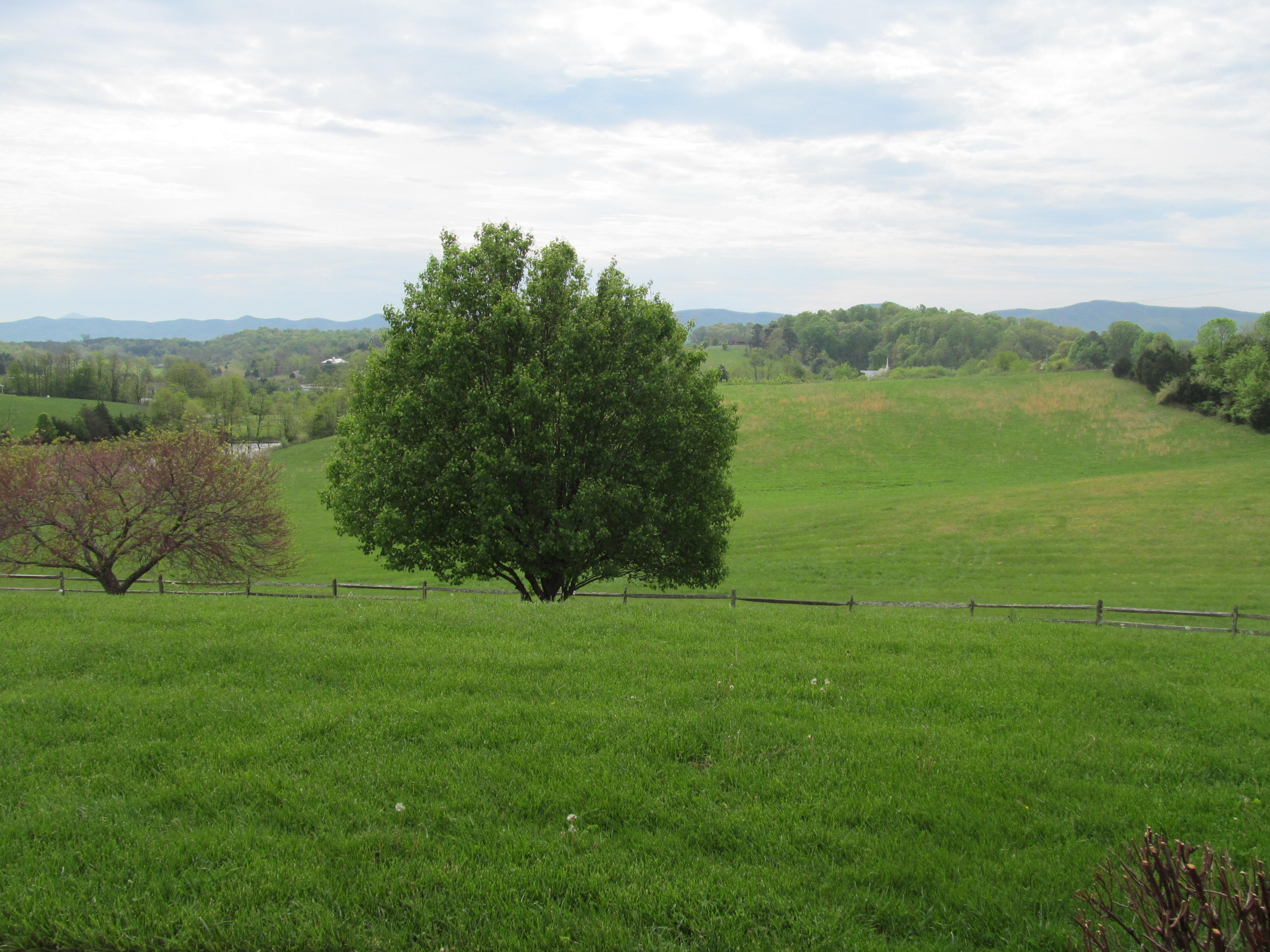 363 Shavers Farm Road Troutville, VA 24175 - Photo 32 of 46 IMG_4301