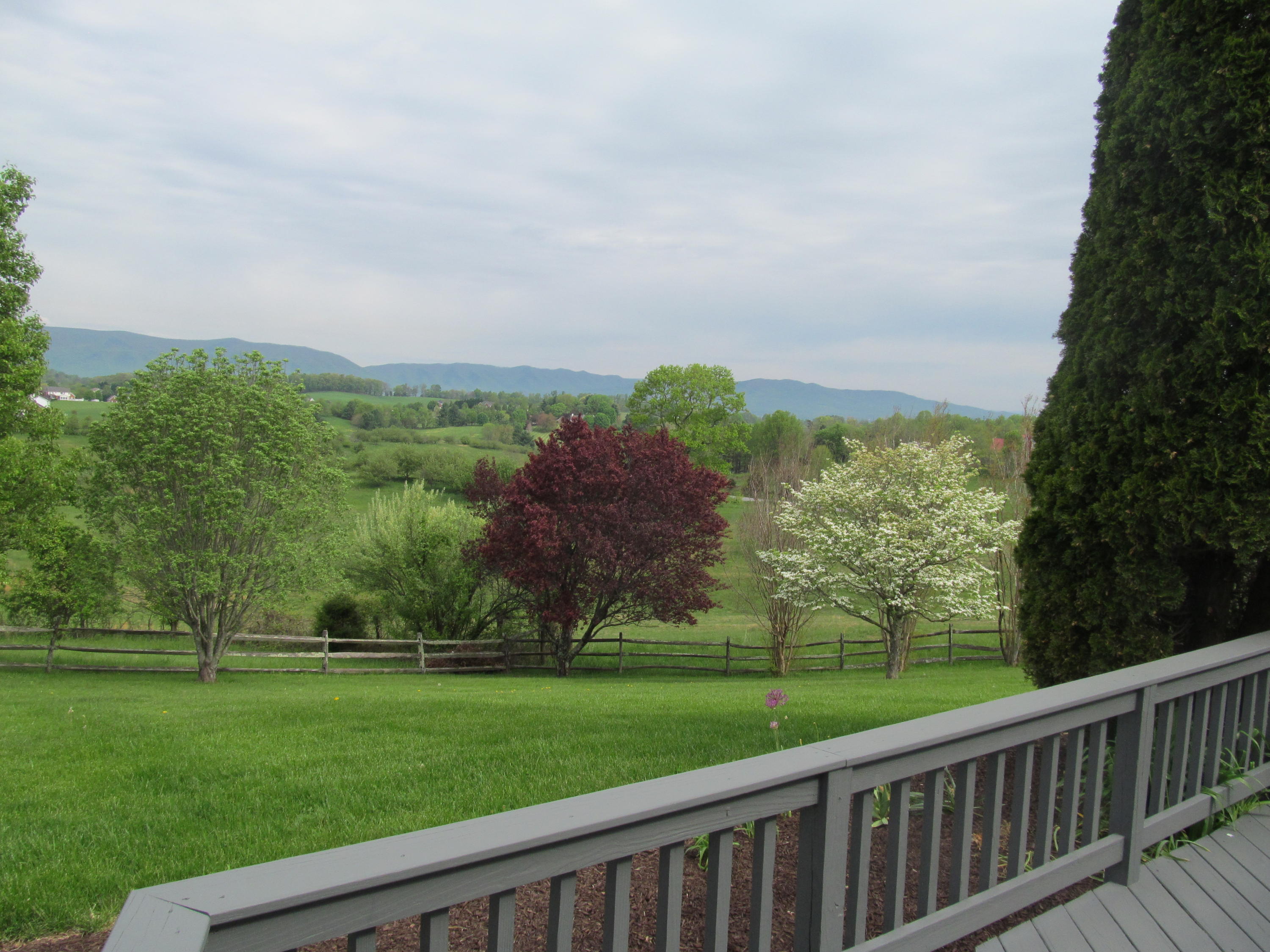 363 Shavers Farm Road Troutville, VA 24175 - Photo 36 of 46 IMG_4305