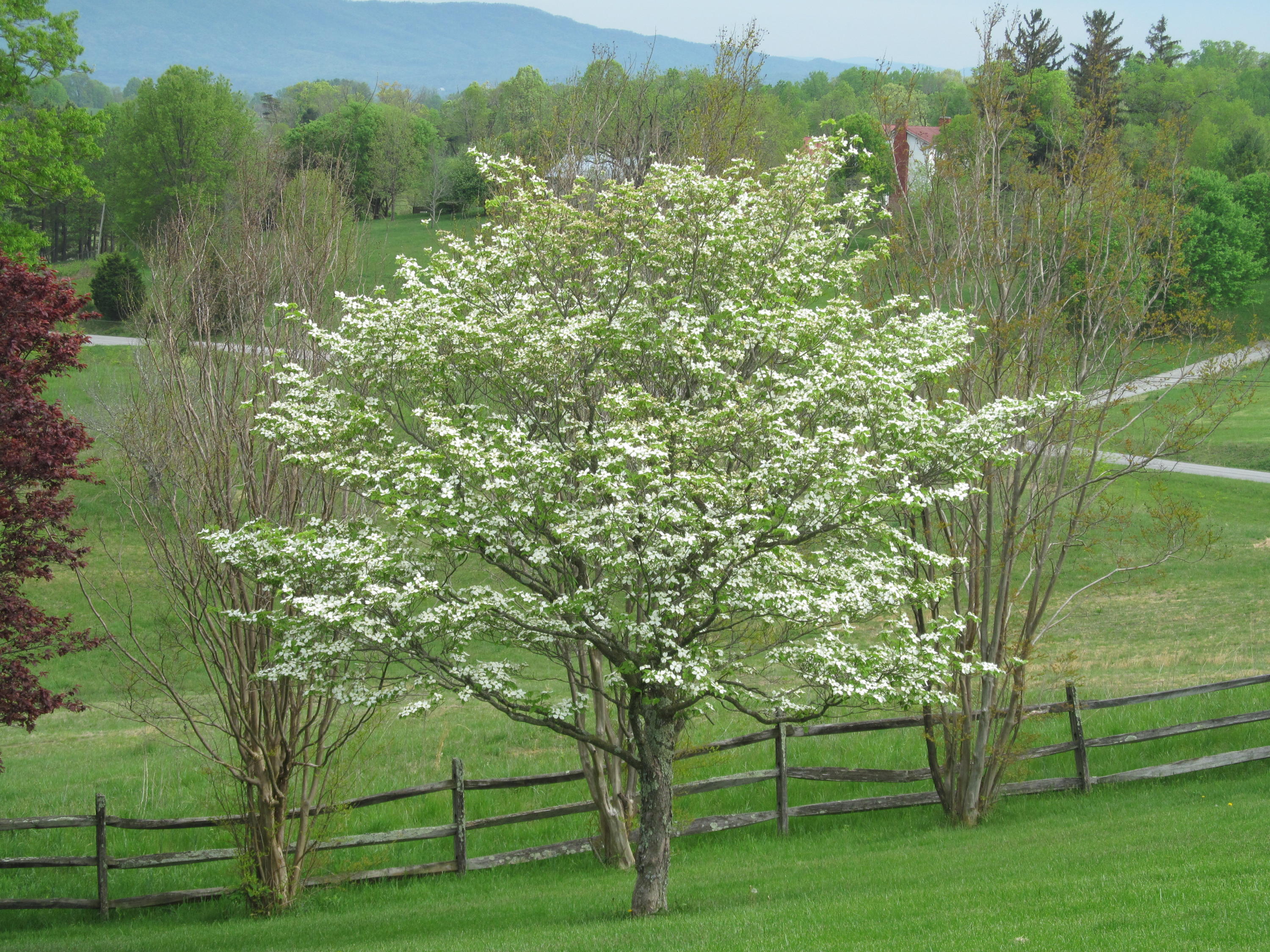 363 Shavers Farm Road Troutville, VA 24175 - Photo 38 of 46 IMG_4306