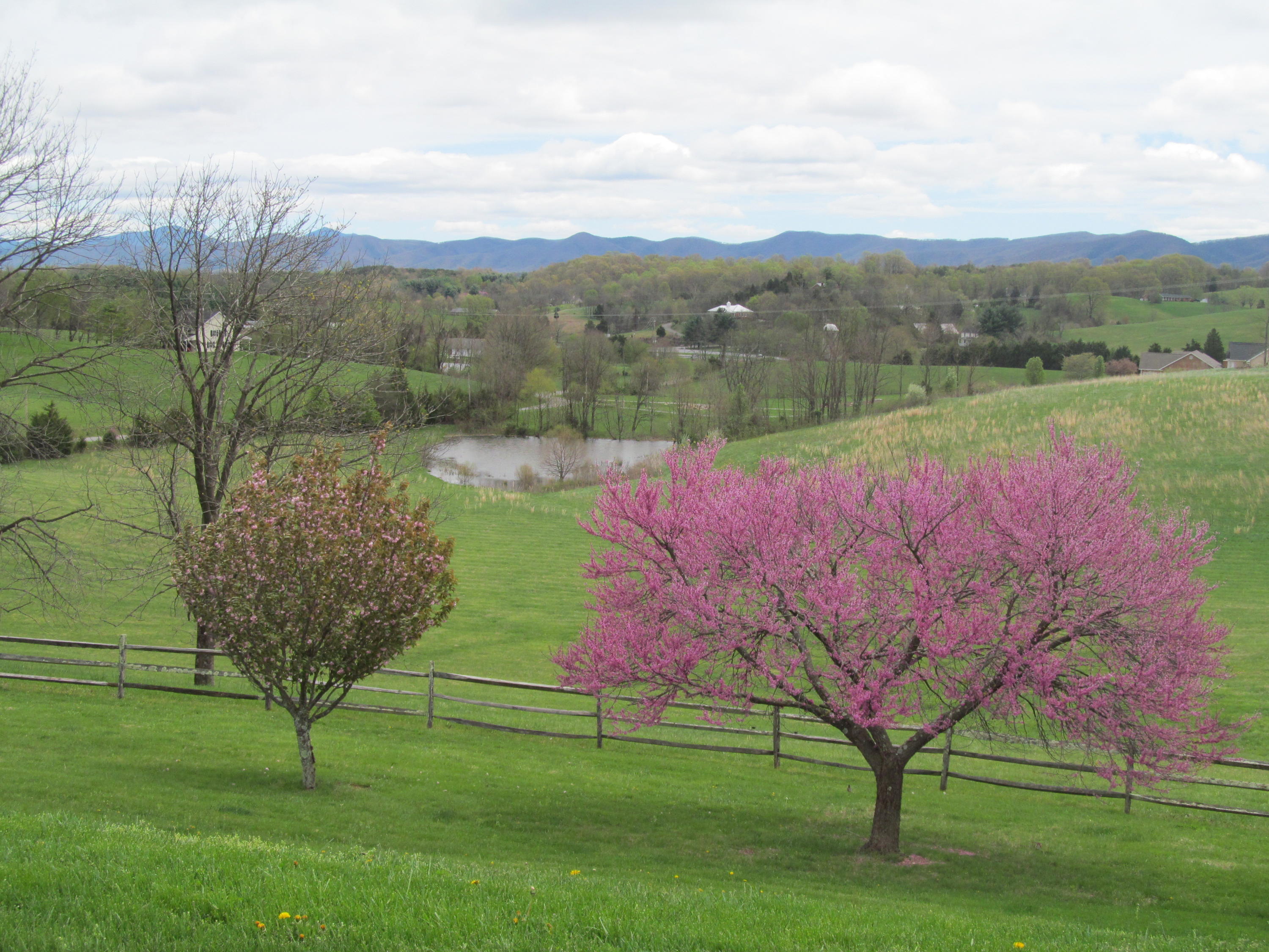 363 Shavers Farm Road Troutville, VA 24175 - Photo 39 of 46 IMG_4146