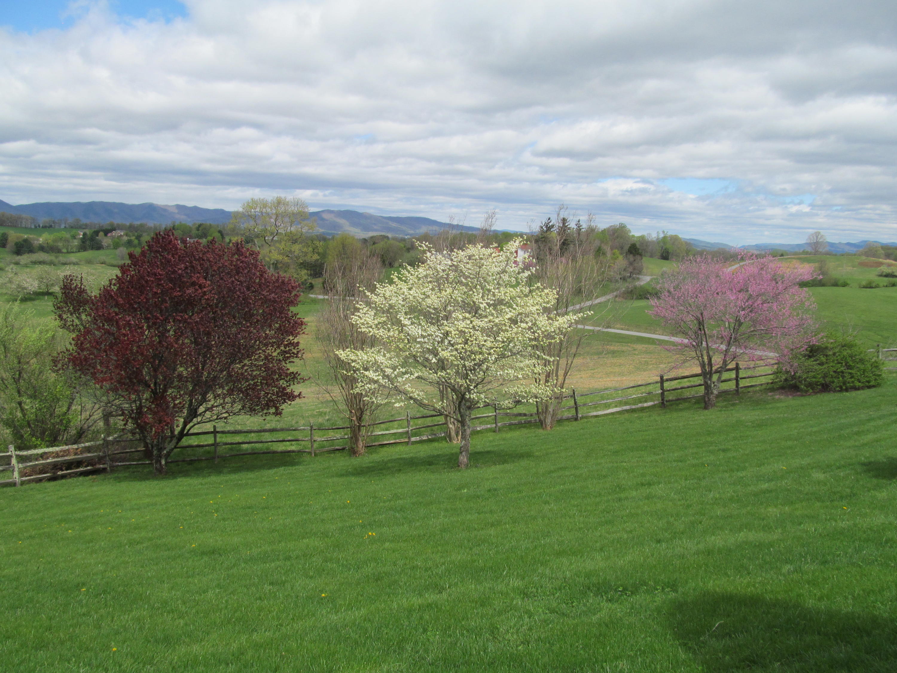 363 Shavers Farm Road Troutville, VA 24175 - Photo 42 of 46 IMG_4150