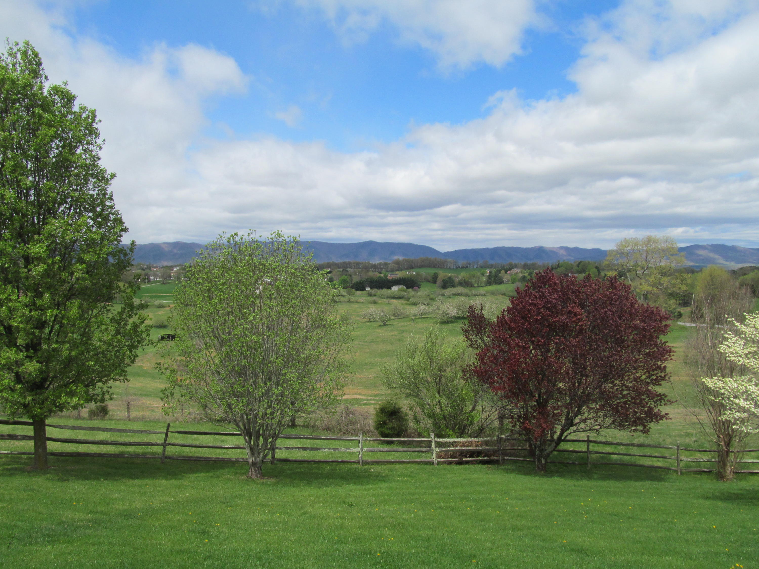 363 Shavers Farm Road Troutville, VA 24175 - Photo 43 of 46 IMG_4151