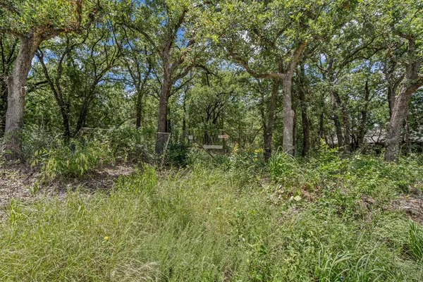 a view of a lush green forest