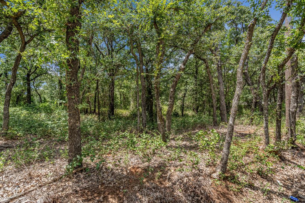1963 Callender Road Mansfield, TX 76063 - Photo 19 of 19 a view of forest