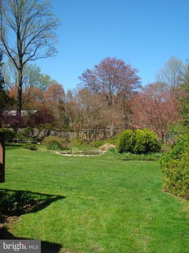 6428 Sleepy Ridge Road Falls Church, VA 22042 - Photo 4 of 12 Back yard