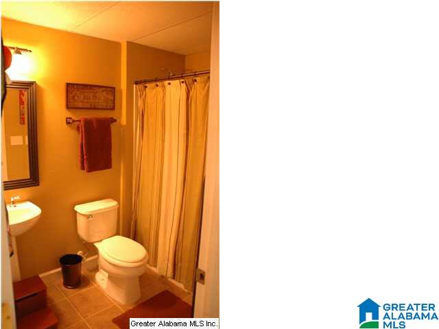 152 Abigail Trail Springville, AL 35146 - Photo 24 of 31