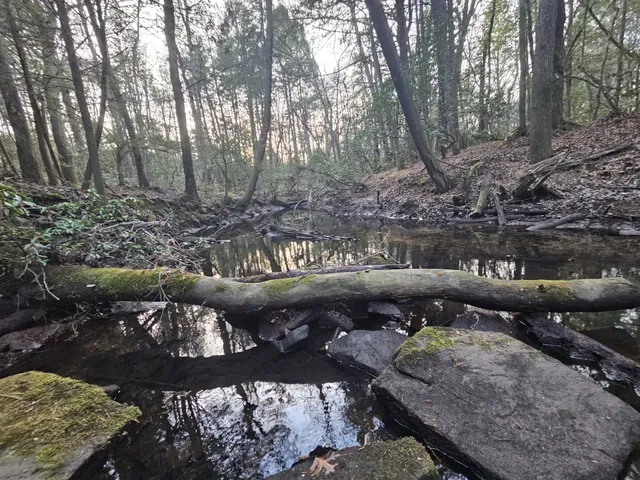 $190,000 | 100 Clendenon Road, Spencer, TN 38585