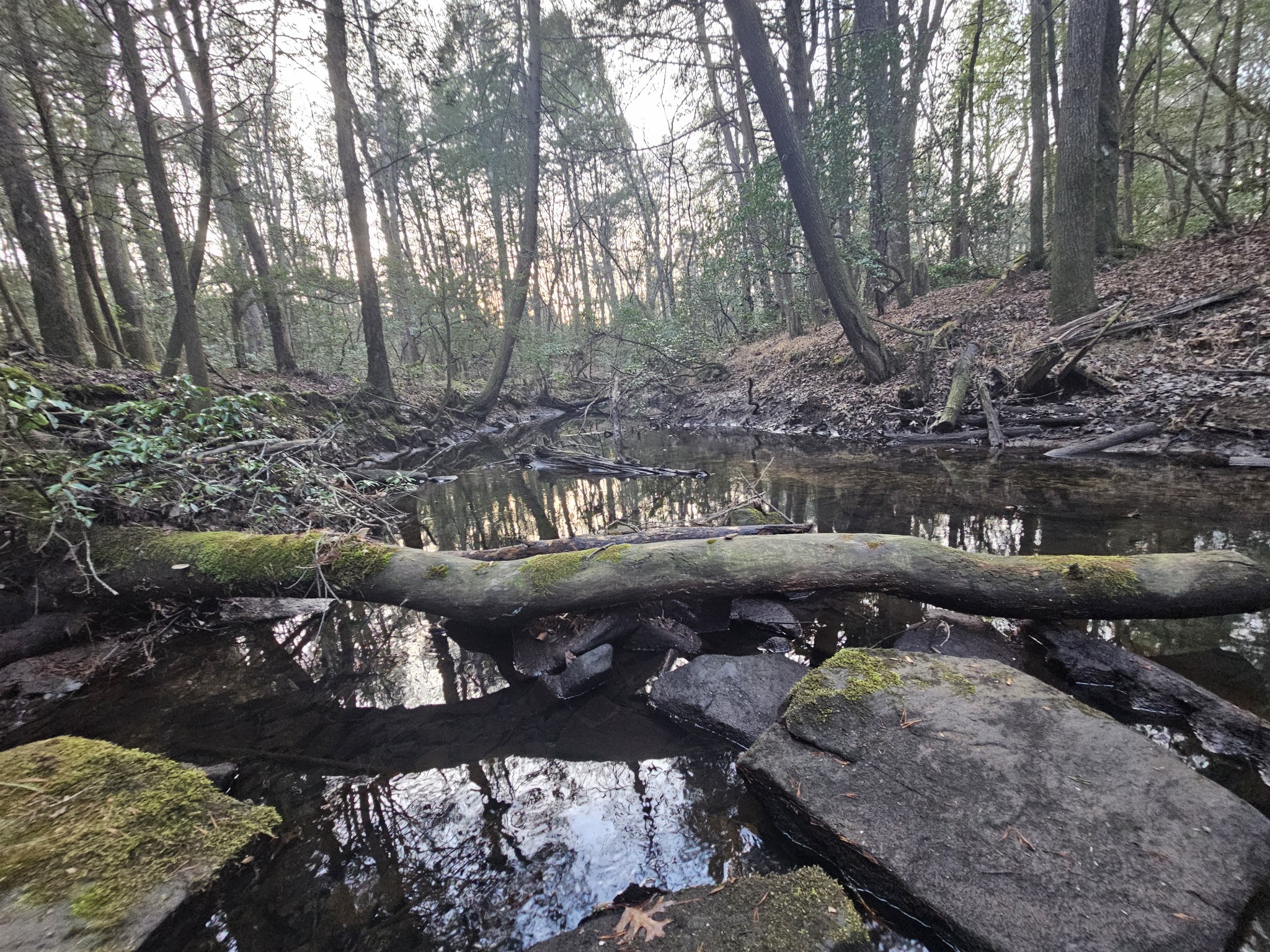 100 Clendenon Road Spencer, TN 38585 - Photo 1 of 35