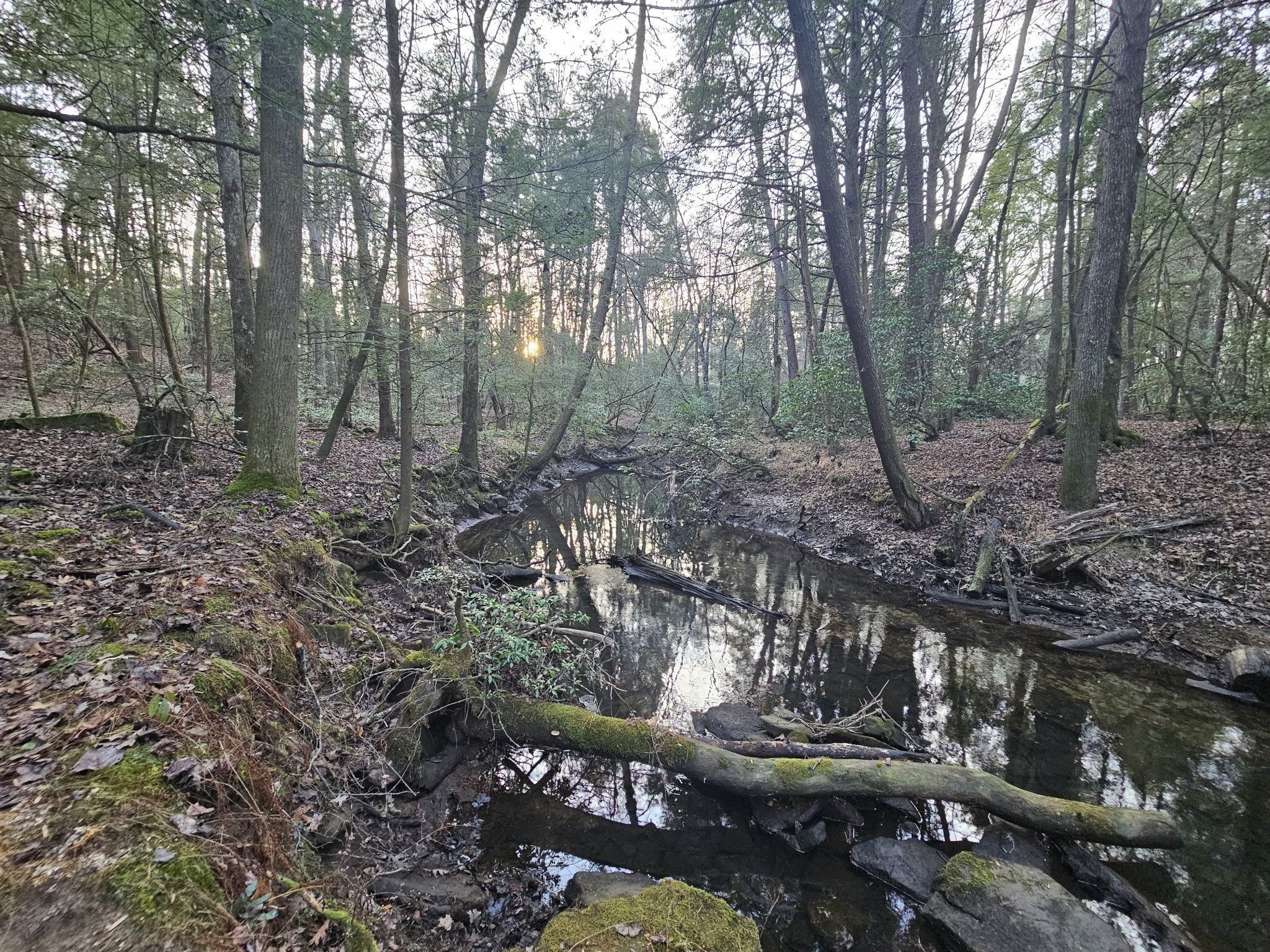 100 Clendenon Road Spencer, TN 38585 - Photo 11 of 35
