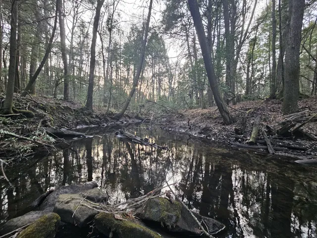 a view of outdoor space with trees