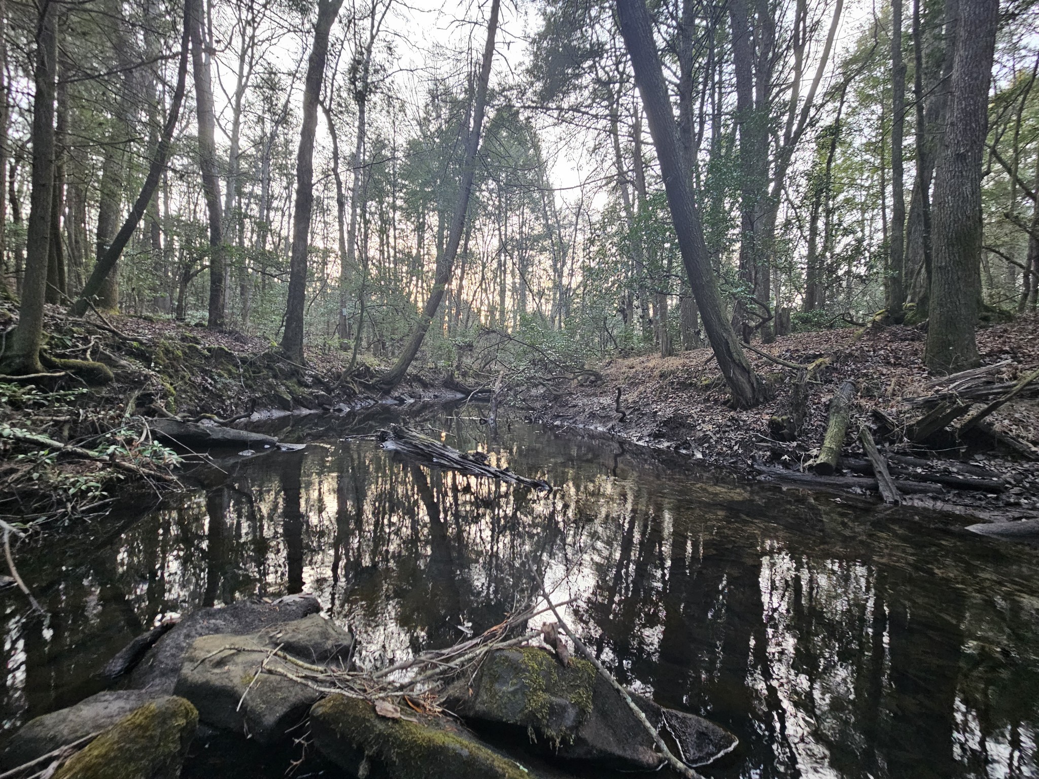 100 Clendenon Road Spencer, TN 38585 - Photo 12 of 35