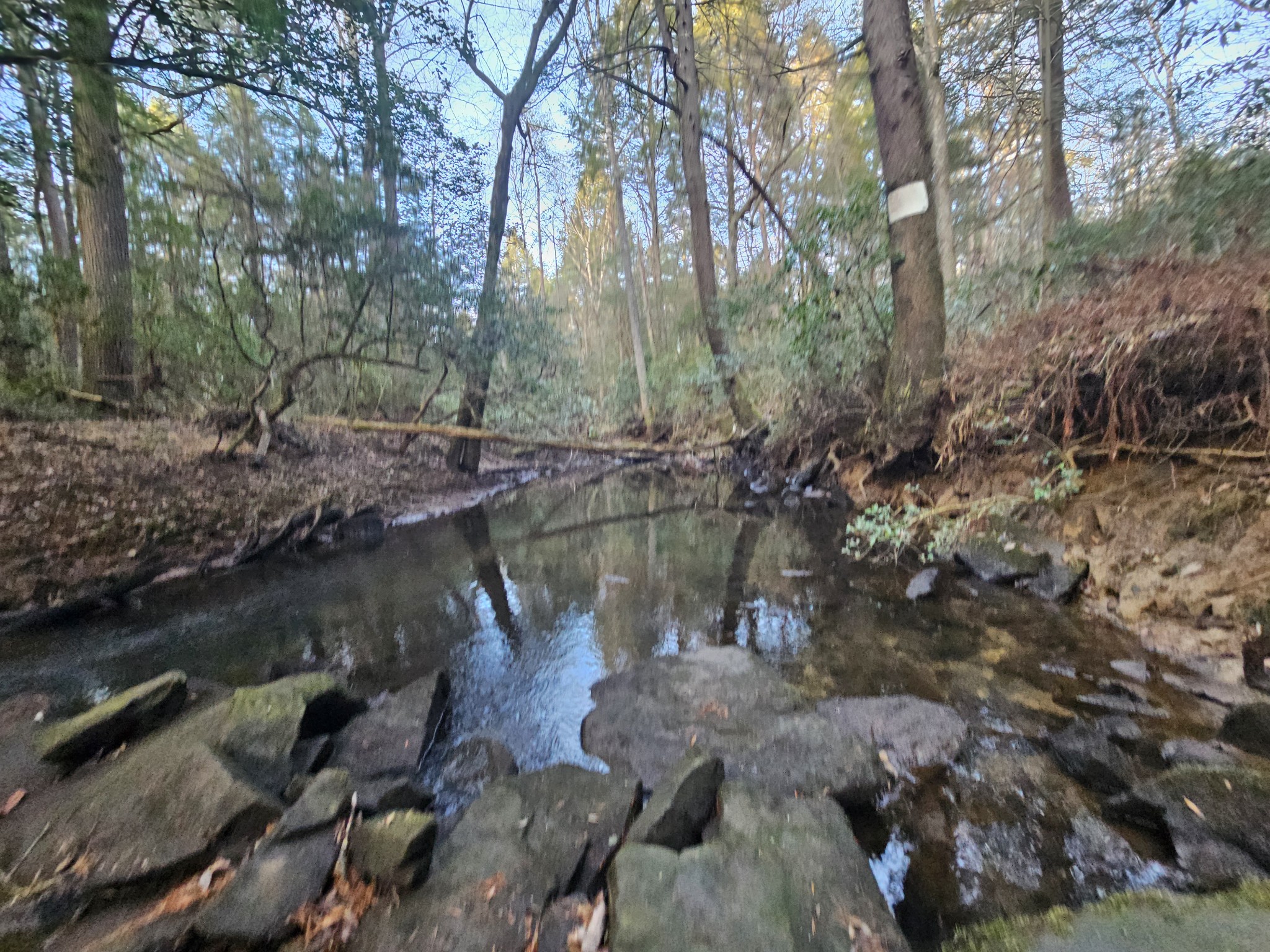 100 Clendenon Road Spencer, TN 38585 - Photo 13 of 35