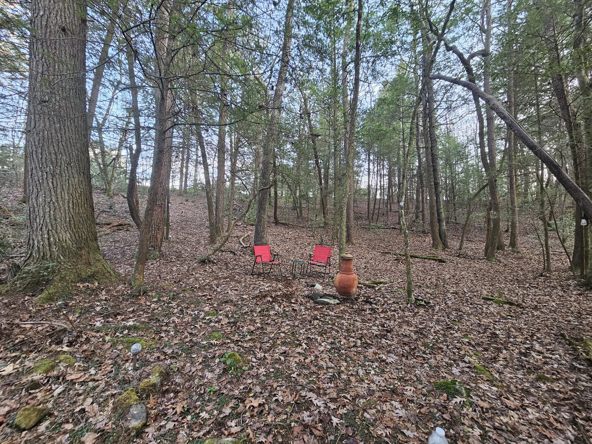 100 Clendenon Road Spencer, TN 38585 - Photo 14 of 35