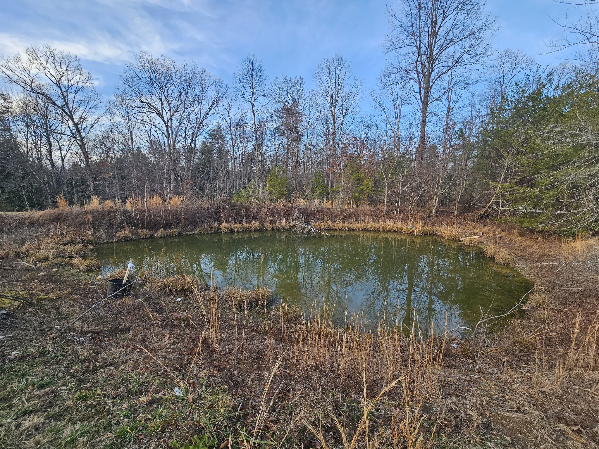 100 Clendenon Road Spencer, TN 38585 - Photo 15 of 35