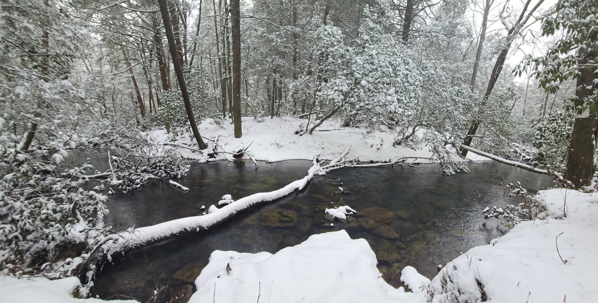 100 Clendenon Road Spencer, TN 38585 - Photo 29 of 35