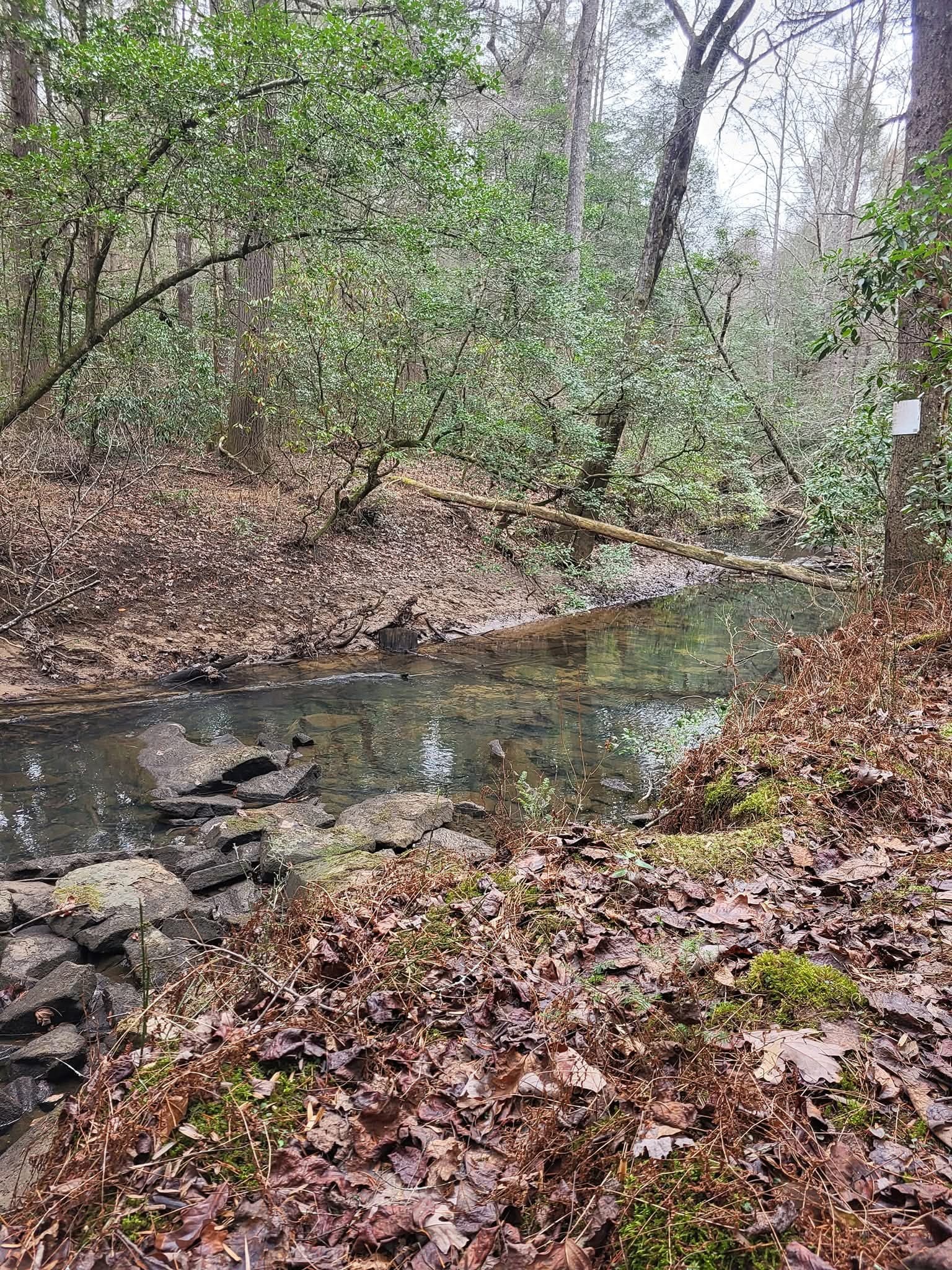 100 Clendenon Road Spencer, TN 38585 - Photo 31 of 35