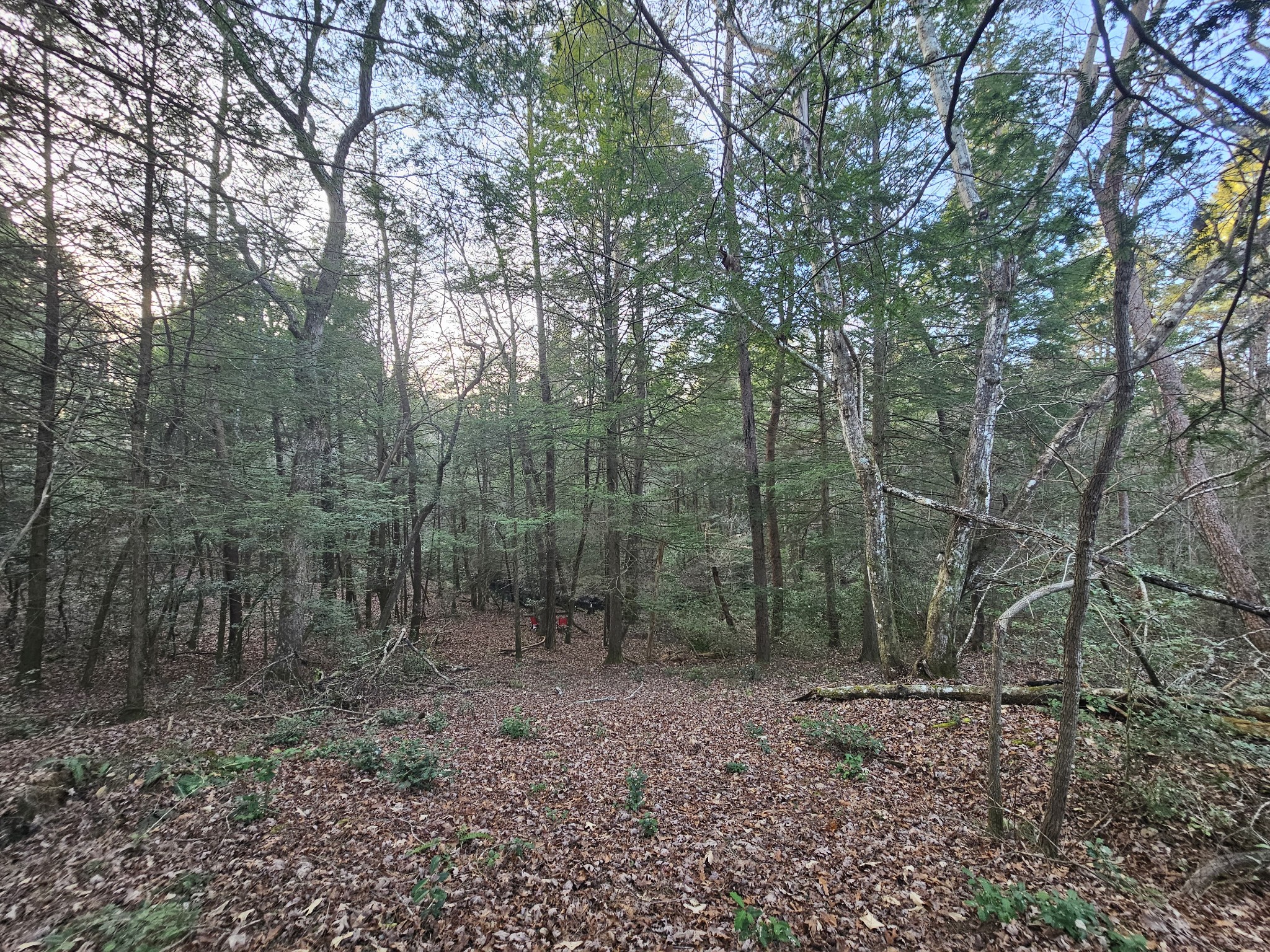 100 Clendenon Road Spencer, TN 38585 - Photo 8 of 35