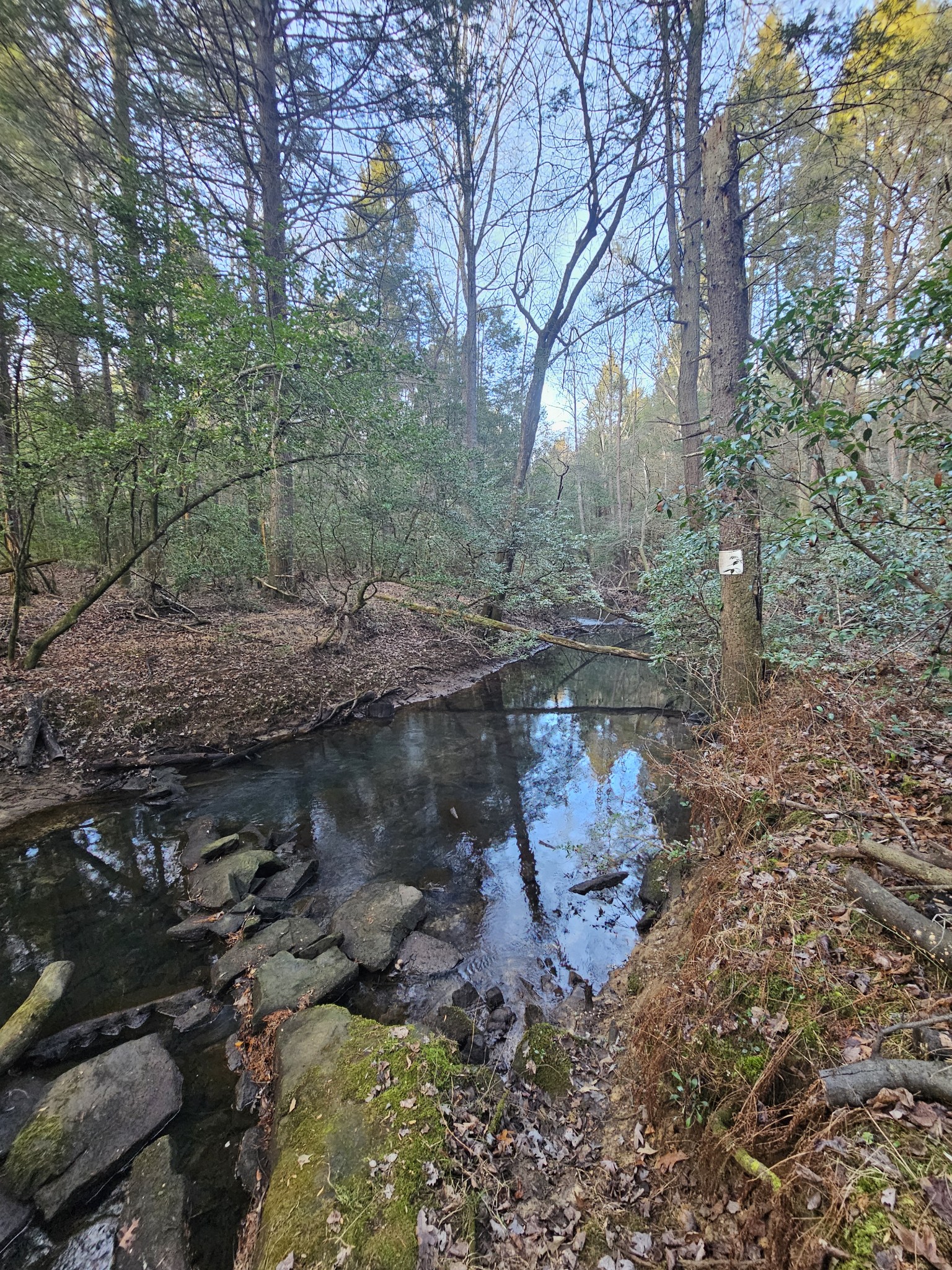 100 Clendenon Road Spencer, TN 38585 - Photo 9 of 35