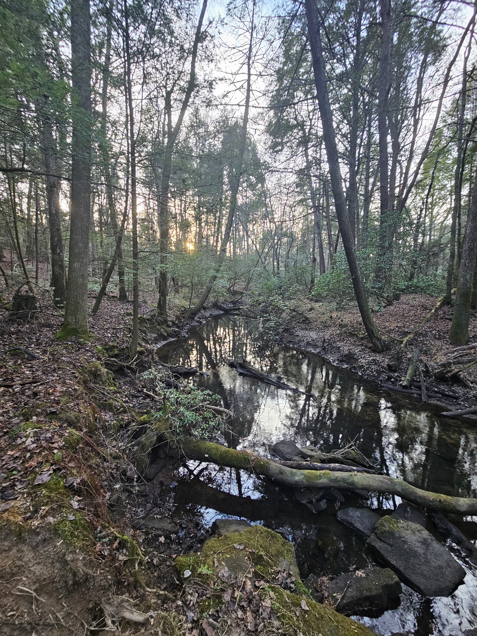 100 Clendenon Road Spencer, TN 38585 - Photo 10 of 35