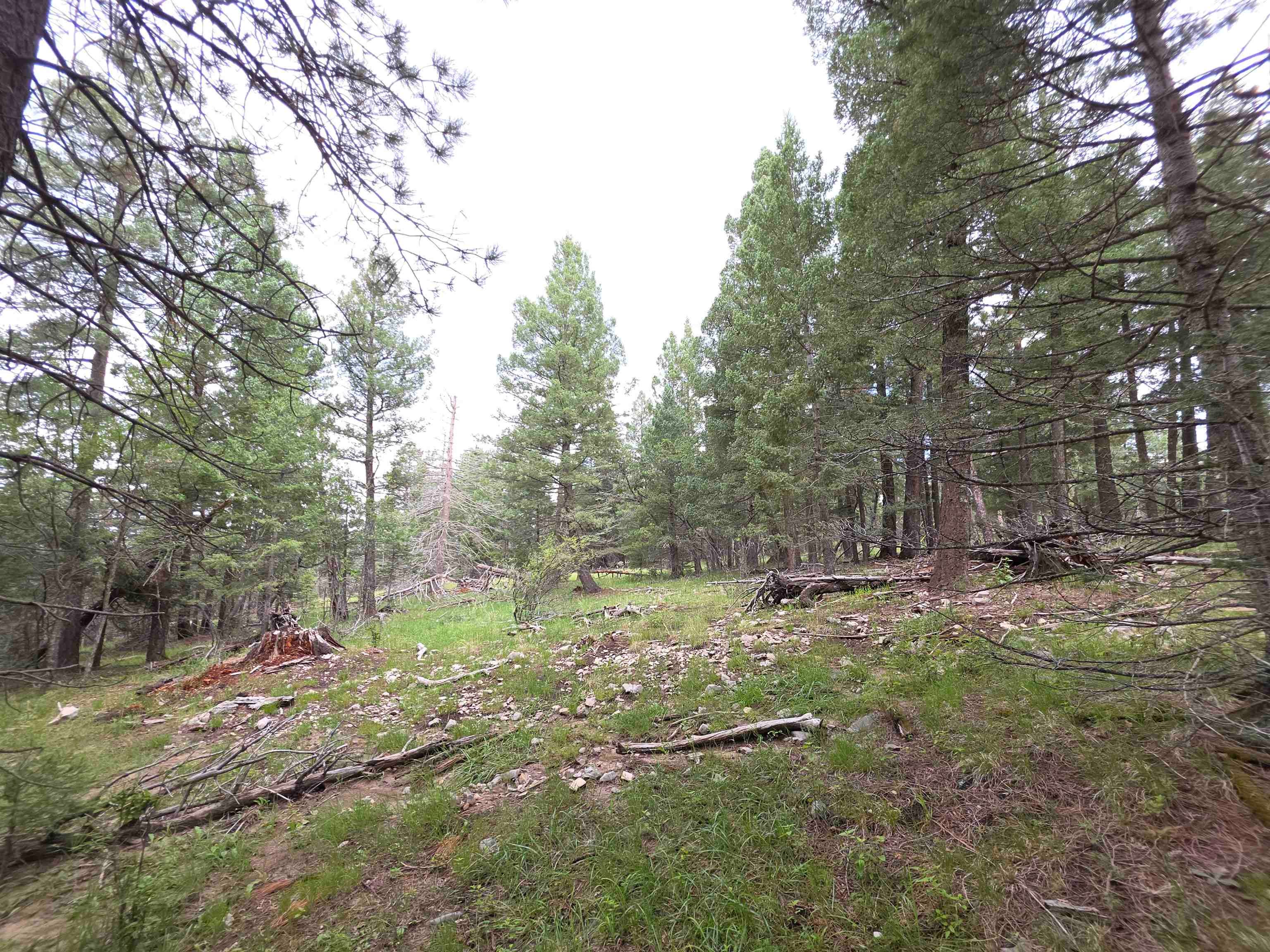 Lot 58 Big Dipper Road Mayhill, NM 88339 - Photo 34 of 50 Gallery Image 34