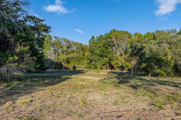 Tbd Tbd Wendy Lane Round Top, TX 78954 - Photo 3 of 8 a view of a yard with trees