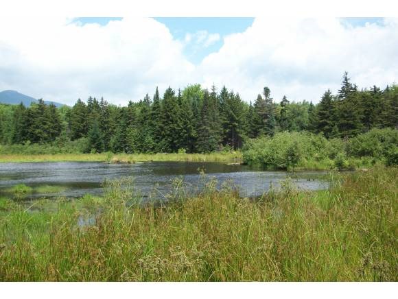 Th14 South Bear Swamp Road Middlesex, VT 05602 - Photo 1 of 1 Gallery Image 1
