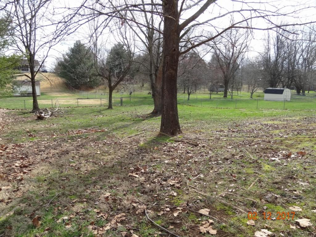 110 Springview Drive Gray, TN 37615 - Photo 8 of 15 Photo 8