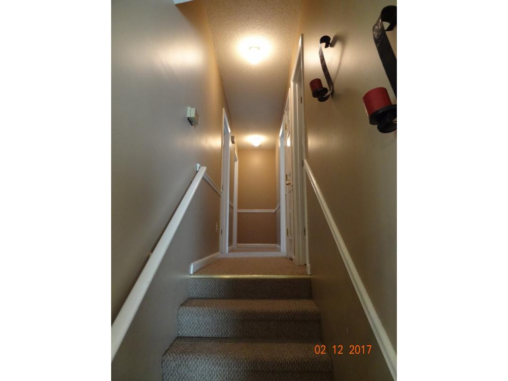 110 Springview Drive Gray, TN 37615 - Photo 9 of 15 Photo 9