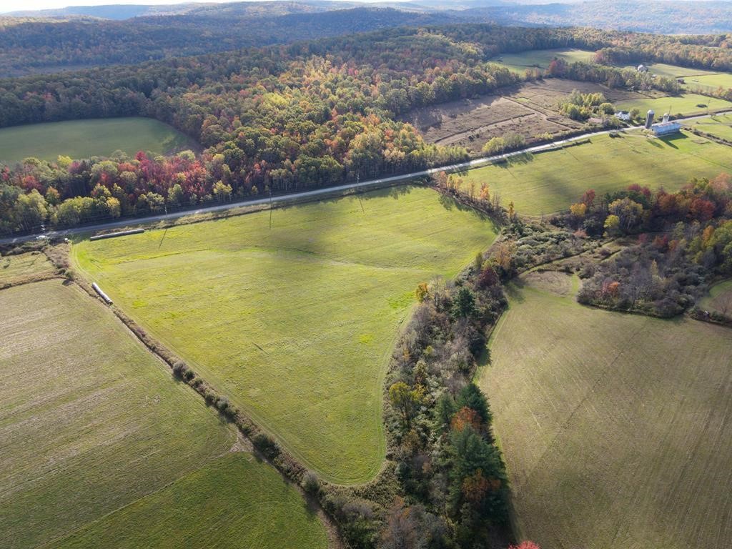 0 Parrott Road Cayuta, NY 14824 - Photo 1 of 14