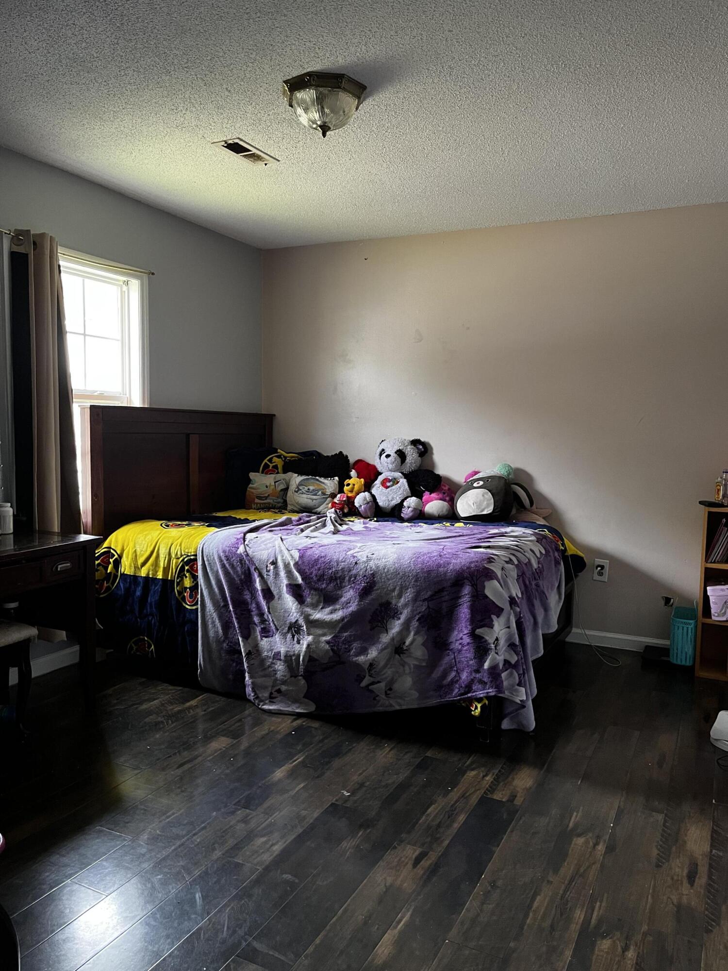 224 Trinity Place Ladson, SC 29456 - Photo 20 of 27 Bedroom (3)