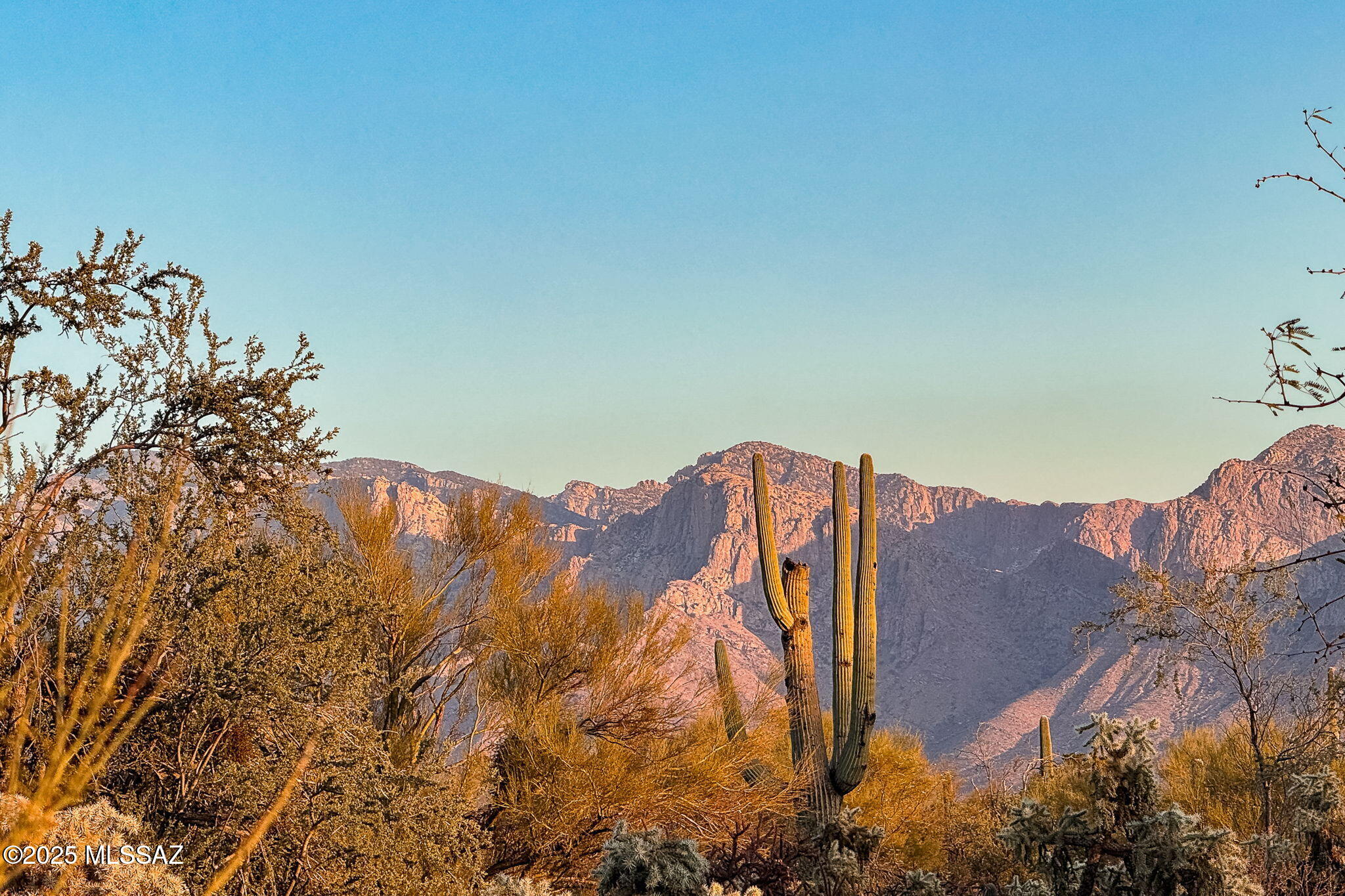 11880 North Shannon Road, Unit 15 Tucson, AZ 85742 - Photo 12 of 17