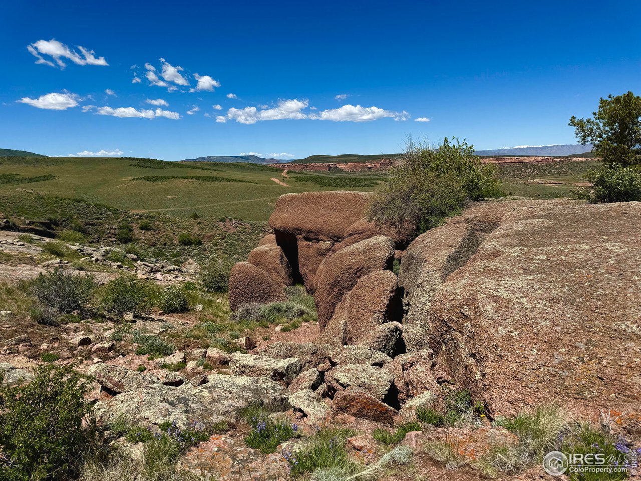 500 Bridge Road Livermore, CO 80536 - Photo 18 of 31 Gallery Image 18