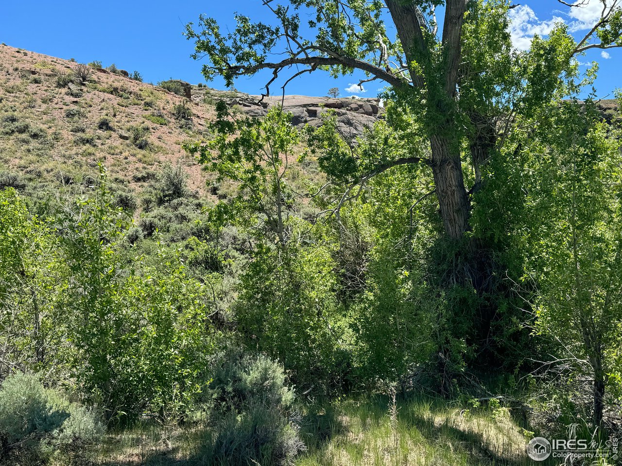 500 Bridge Road Livermore, CO 80536 - Photo 30 of 31 Gallery Image 30