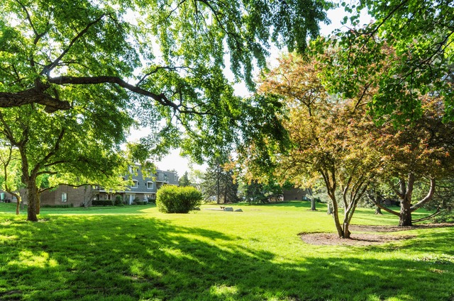 134 East Bailey Road, Unit J Naperville, IL 60565 - Photo 8 of 10