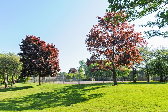 134 East Bailey Road, Unit J Naperville, IL 60565 - Photo 9 of 10