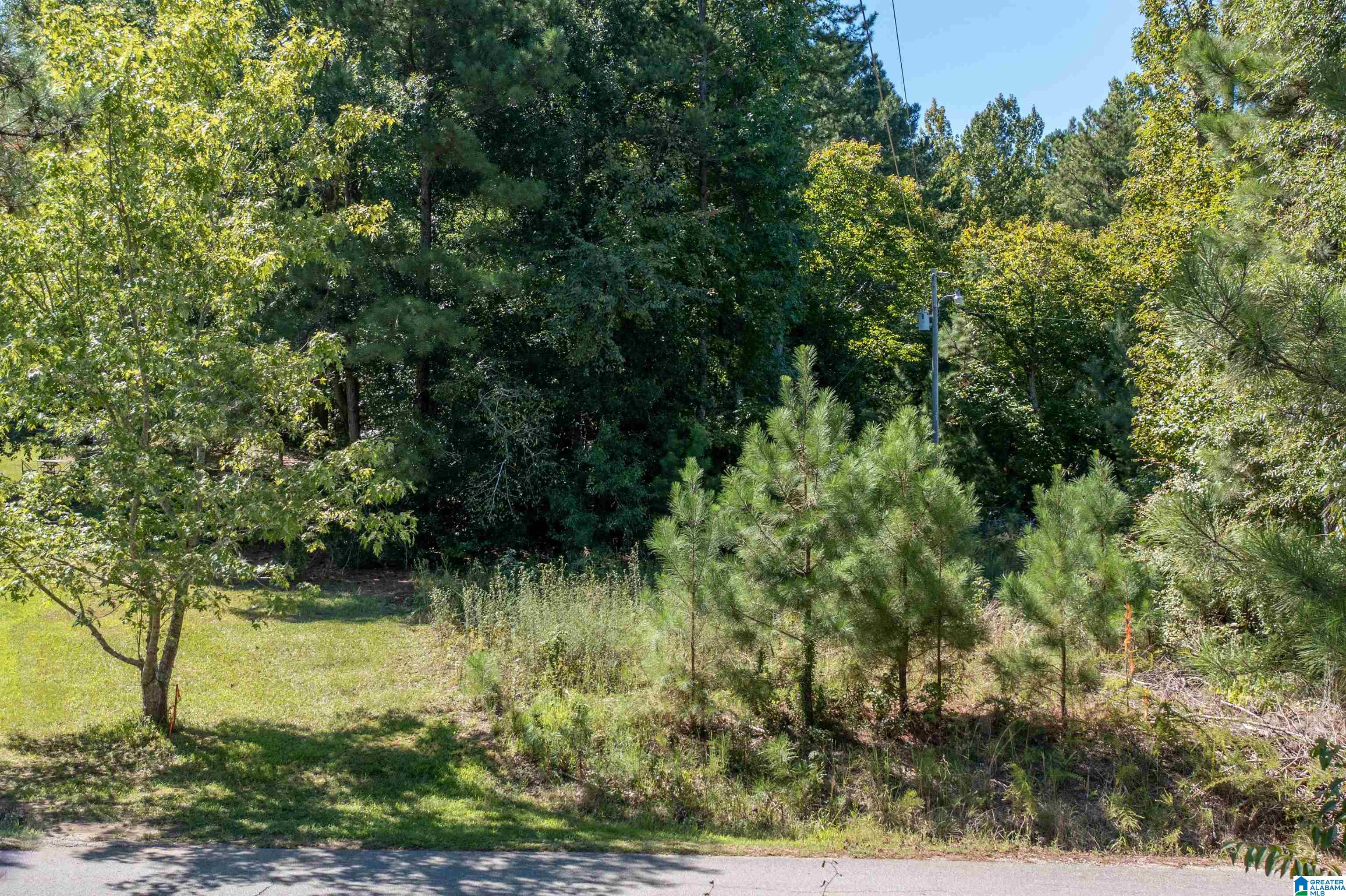 0 Dripping Rock Road Jacksonville, AL 36265 - Photo 4 of 14