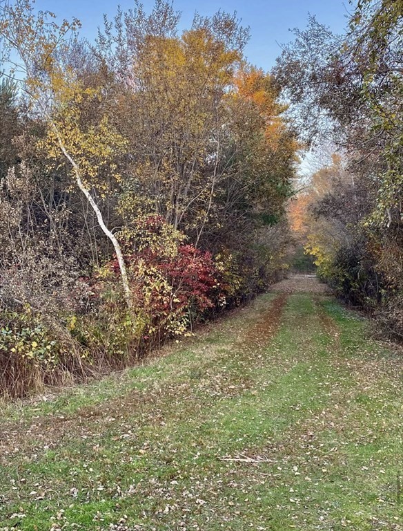 56 Bellows Circle Abington, MA 02351 - Photo 40 of 42 a view of a yard with large trees