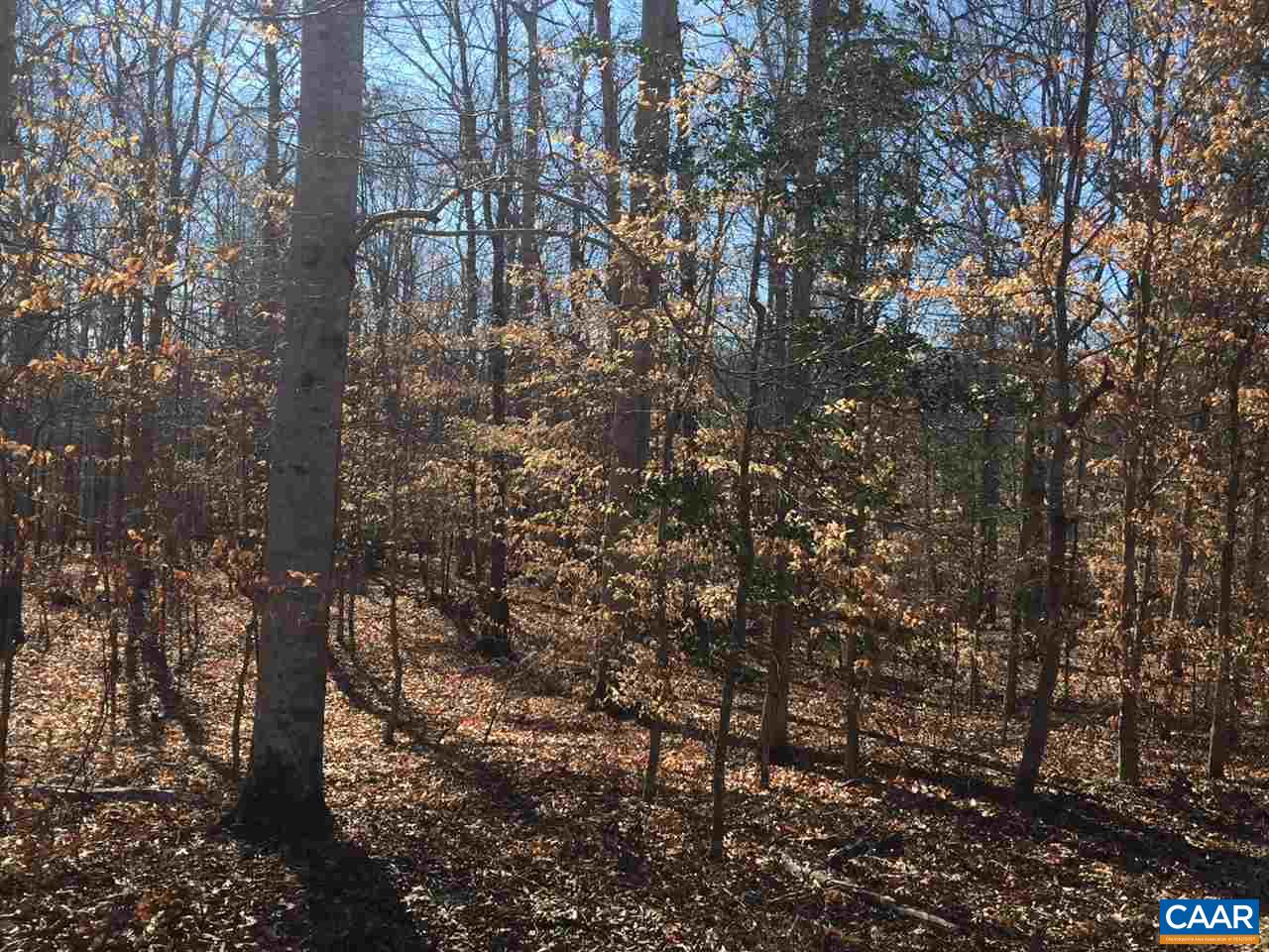 Lot A Louisa Road Keswick, VA 22947 - Photo 1 of 4 5+ acres w/ hardwoods, paved state road frontage, & stream on boarder in Keswick