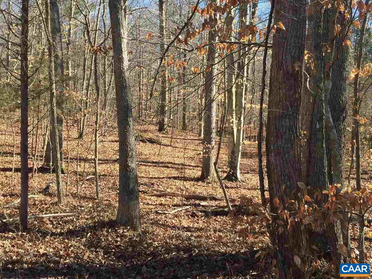 Lot A Louisa Road Keswick, VA 22947 - Photo 2 of 4 Several great home/cabin sites