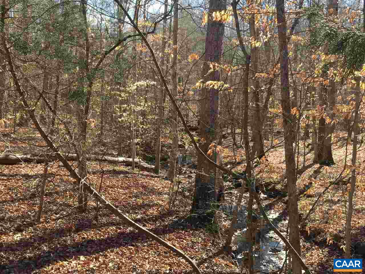 Lot A Louisa Road Keswick, VA 22947 - Photo 3 of 4 Gallery Image 3