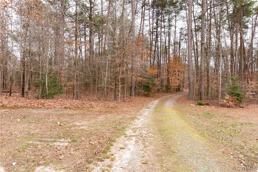 2709 Wickham Road Bumpass, VA 23024 - Photo 3 of 25 a view of backyard with trees