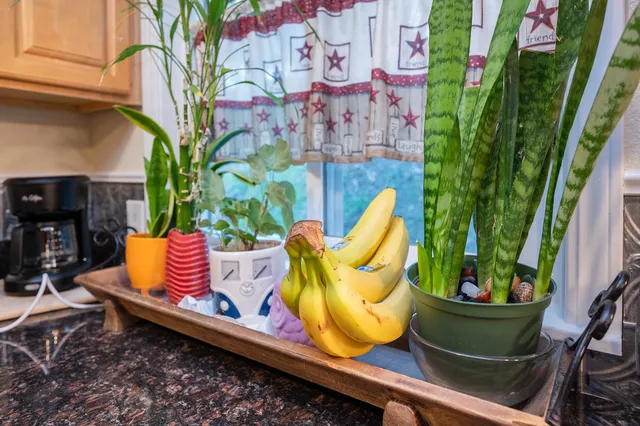 a view of an outdoor sitting space