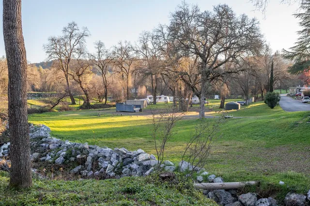 a view of a swimming pool and trees in the background