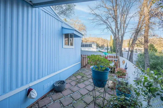 a view of a backyard with plants and a potted plant