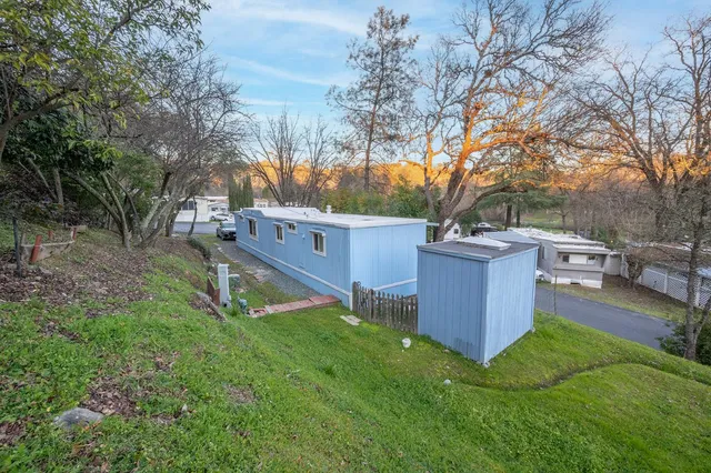 a view of a backyard with a tub and trees